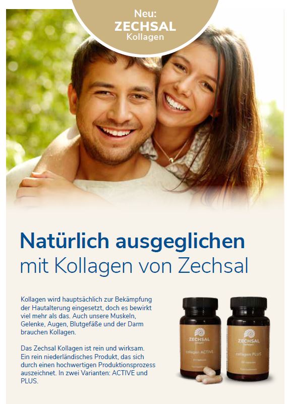 ZECHSAL Flyer Kollagen
