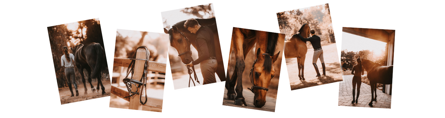 Kunst, Collage, Person, Leinwand, Pferd