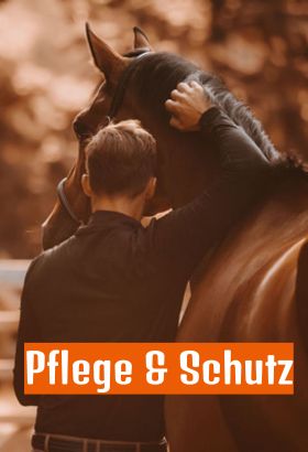 Erwachsener, Männlich, Mann, Person, Colt Horse