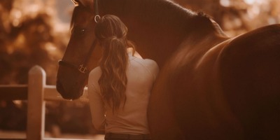Person, Pferd, Säugetier, Hengst, Colt Horse
