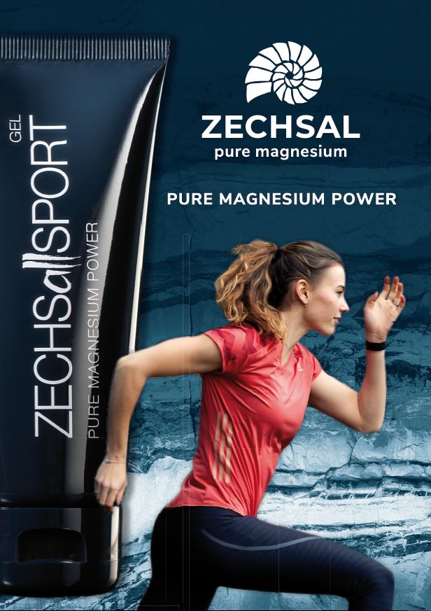 ZECHSallSPORT Plakat