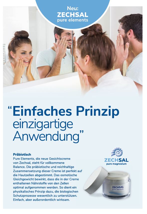 ZECHSAL Flyer pure elements