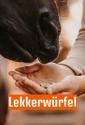 Schnauze, Person