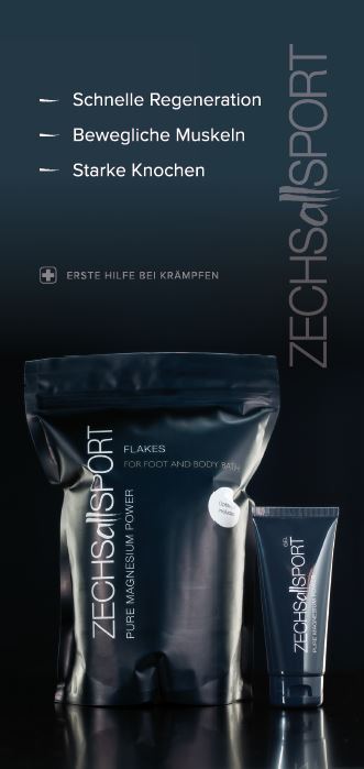 ZECHSallSPORT Flyer