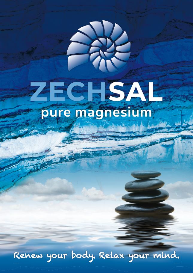 ZECHSAL Plakat